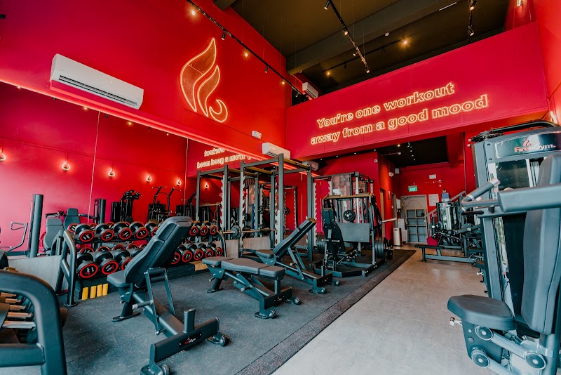 FirenGym photo 4