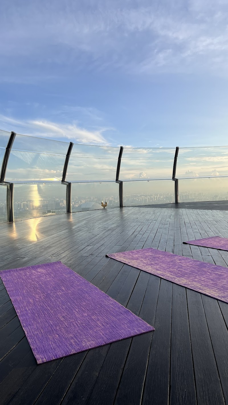 Wellness at Marina Bay Sands photo 1