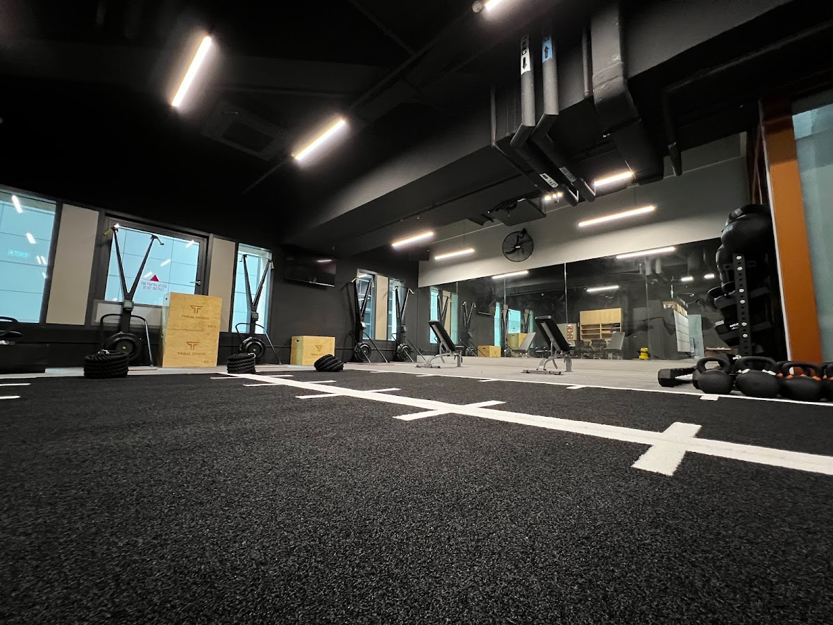 Anarchy Fitness