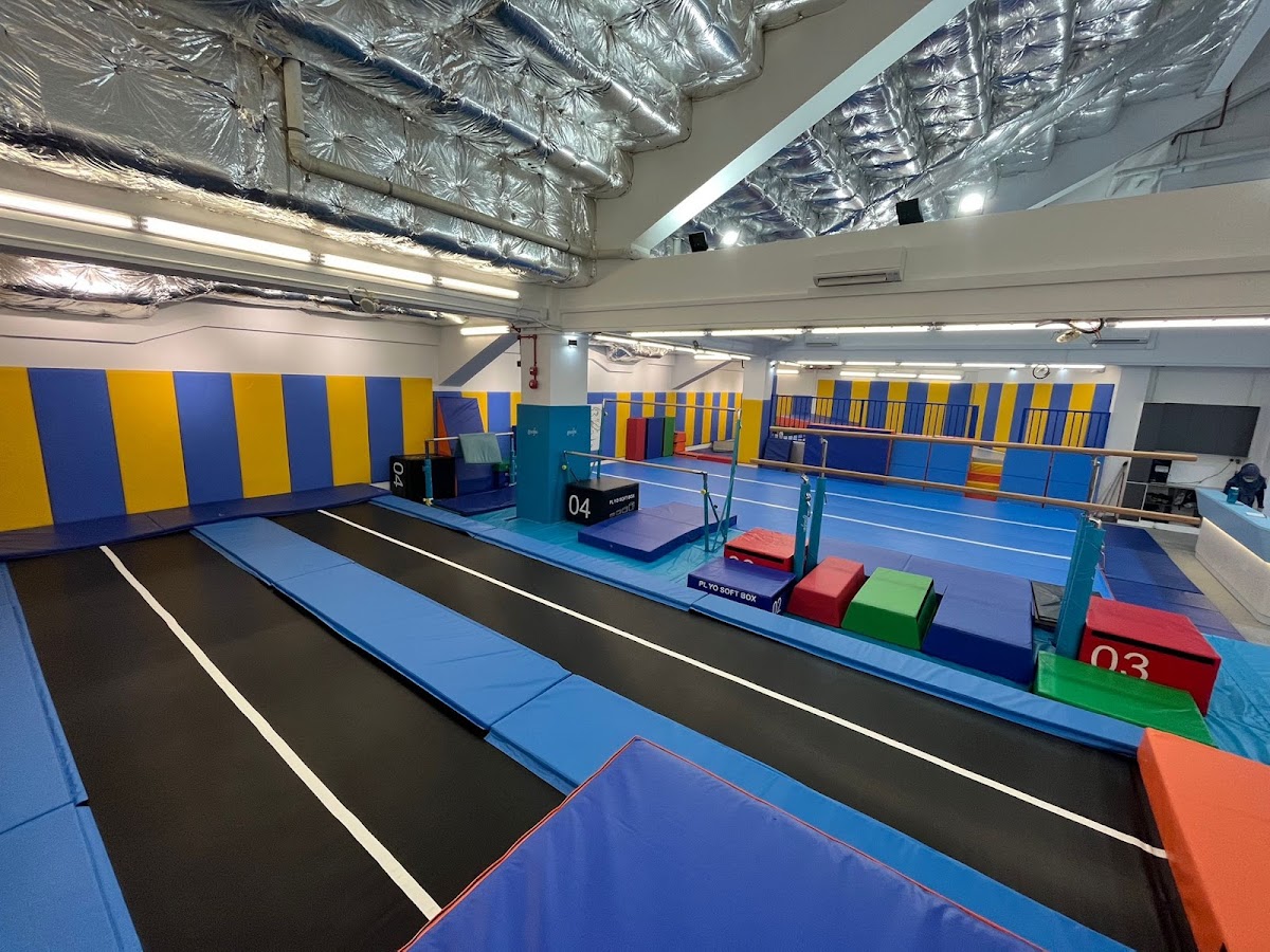 BearyFun Gym CCK