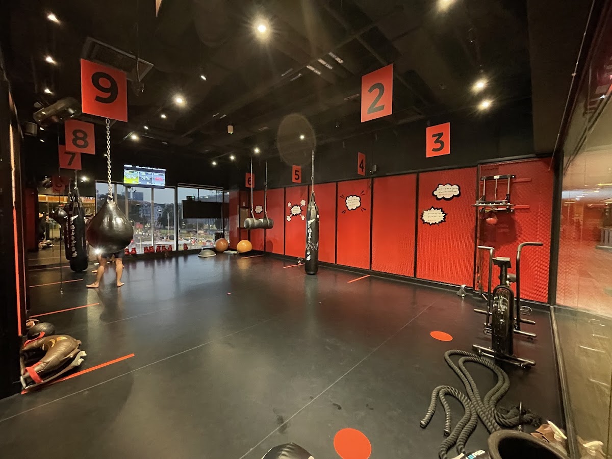 Fight Zone Velocity