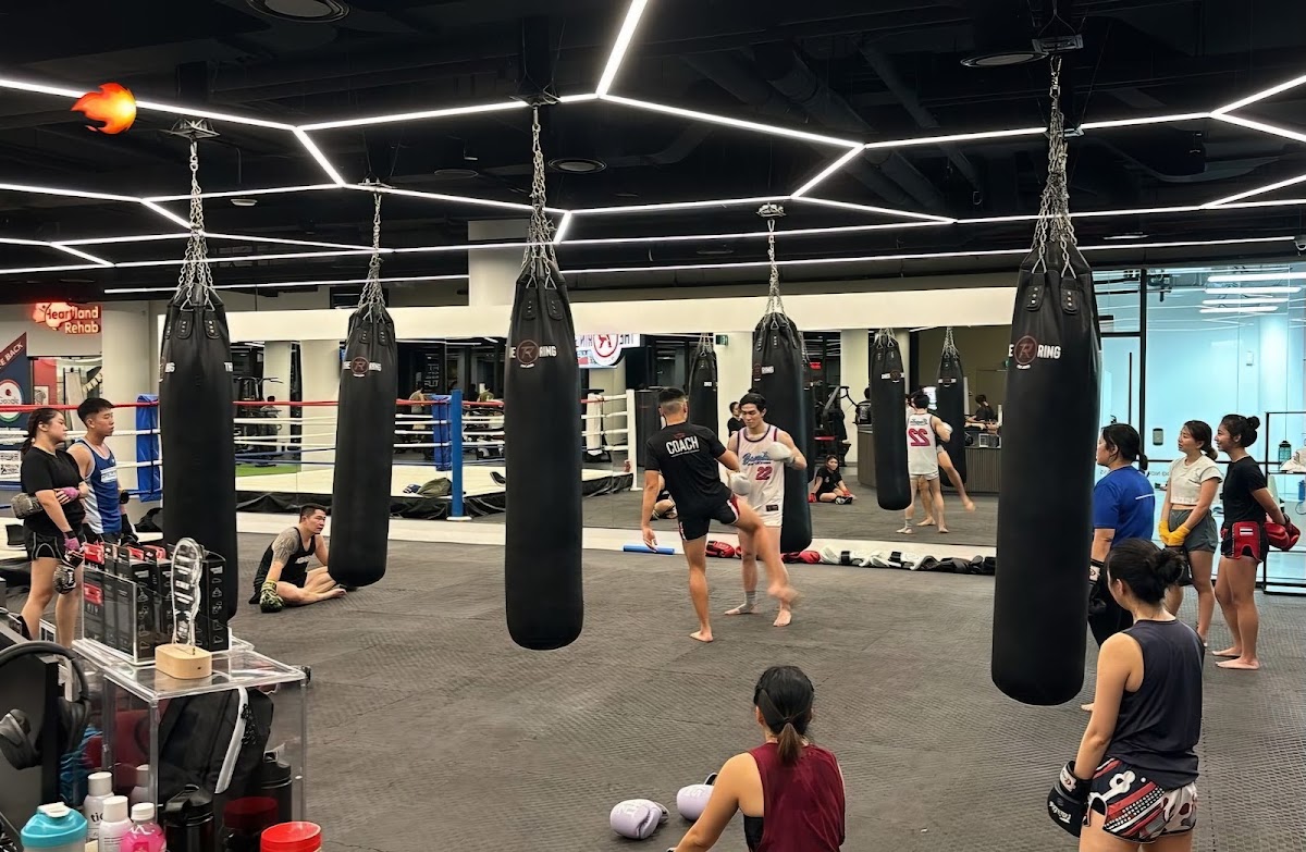 The Ring Boxing Community CCK